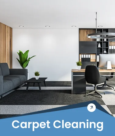 Carpet Cleaning
